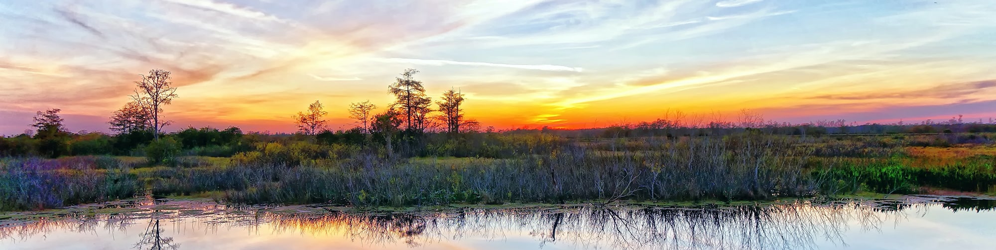 Beautiful Louisiana sunset landscape